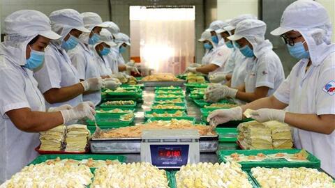 Số doanh nghiệp gia nhập và quay lại thị trường tăng 46,2%