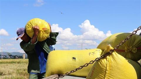 Hệ thống lương thực là chìa khóa cho sự tồn tại chung của chúng ta