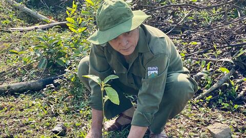 Trồng 1.200 cây rừng bản địa khắc phục thiên tai
