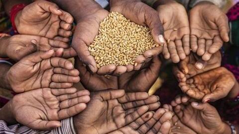 Ngân hàng Thế giới: Một cuộc khủng hoảng lương thực toàn cầu mới đang hình thành