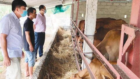 Giám sát hiệu quả nguồn vốn vay