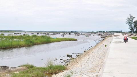 Nâng cấp đê ven đầm phá phục vụ sản xuất