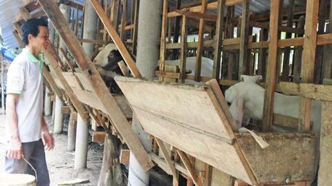 Giá dê hơi tiếp tục tăng 