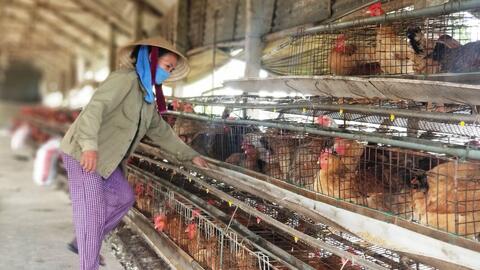 Phát triển nông nghiệp theo hướng bền vững