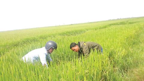 Nỗ lực bằng nhiều giải pháp, đảm bảo sản xuất