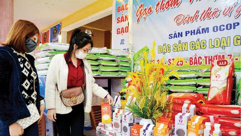 Nâng tầm “gạo thơm Thủy Thanh”