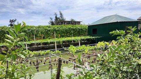 Về thăm xã nông thôn mới kiểu mẫu Tượng Sơn