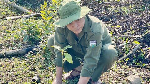 Tái cơ cấu lâm nghiệp theo hướng bền vững
