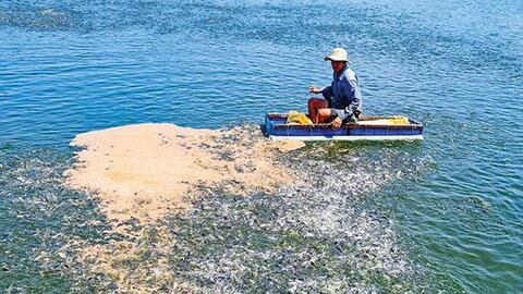 Giải pháp ổn định, an toàn cho nuôi trồng thủy sản 
