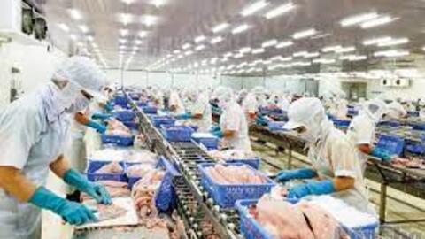 Liên kết chặt chẽ đưa con cá tra "bơi nhanh, bơi xa" 