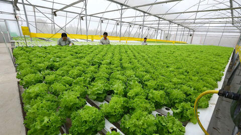 "GAP" hay không "GAP" như nhau