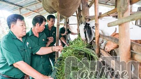 Cựu chiến binh giúp nhau làm kinh tế 