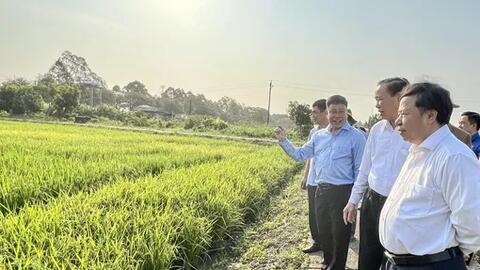 Bài cuối: Thay đổi tư duy, tạo giá trị gia tăng cho chuỗi ngành hàng 