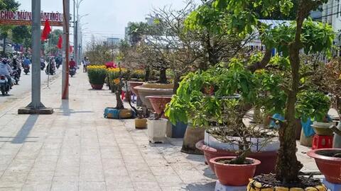 Đảm bảo hàng hóa chất lượng, an toàn toàn phục vụ mua sắm dịp Tết 