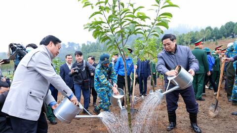 Triển khai “Tết trồng cây đời đời nhớ ơn Bác Hồ” thiết thực, hiệu quả