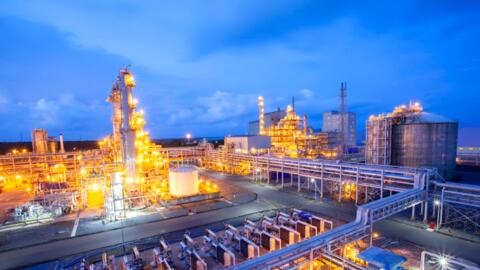 Phân bón Cà Mau: Dấu ấn của sứ mệnh, nỗ lực và thành tựu