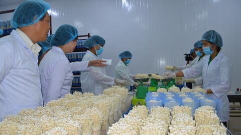 Để sản phẩm công nghệ cao Thủ đô có chỗ đứng bền vững...