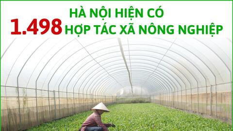 Hà Nội có 1.498 hợp tác xã nông nghiệp