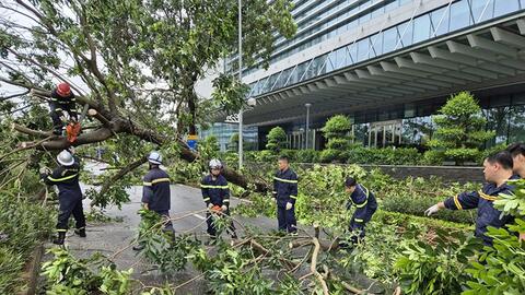 Nỗ lực ổn định cuộc sống Nhân dân sau bão, lũ