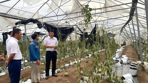 Agribank giảm tới 2%/năm lãi vay giúp khách hàng vượt qua tổn thất do bão Yagi