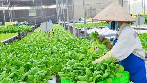 Đưa chuyển đổi số, khoa học công nghệ vào sản xuất nông nghiệp