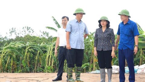 Hà Nội dồn lực cho xây dựng Nông thôn mới nâng cao, kiểu mẫu