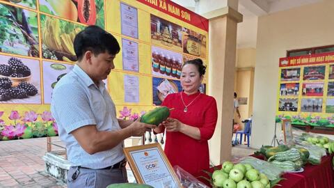 Huy động nguồn lực, hoàn thiện các tiêu chí Nông thôn mới kiểu mẫu
