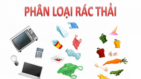 Phân loại rác tại nguồn: Từ ý thức đến hành động