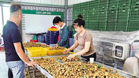 Ðể xuất khẩu nông sản sang thị trường EU bền vững 