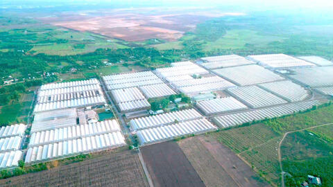 WinEco mang giá đỗ sạch đến bữa ăn của người Việt