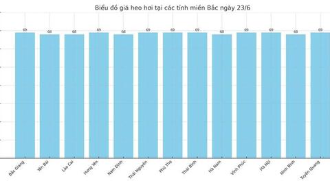 Giá heo hơi hôm nay 23/6/2025: Cao nhất 73.000 đồng/kg