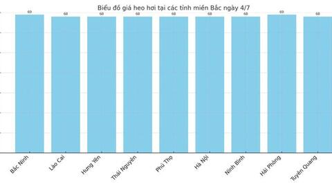Giá heo hơi hôm nay 4/7/2025: Cao nhất còn 70.000 đồng/kg