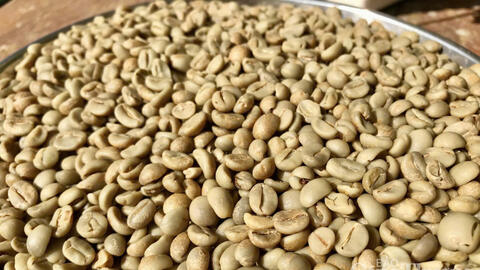 Giá cà phê Robusta tăng nhẹ gần 0,5% lên mức 3.677 USD/tấn