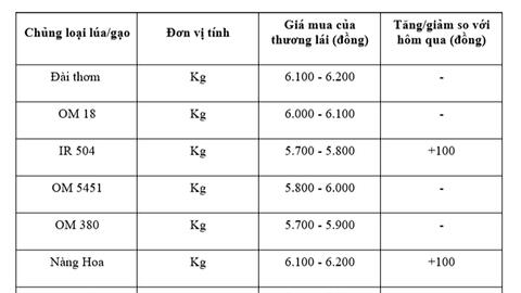 Giá lúa gạo hôm nay ngày 10/7/2025: Lúa tươi tiếp đà tăng