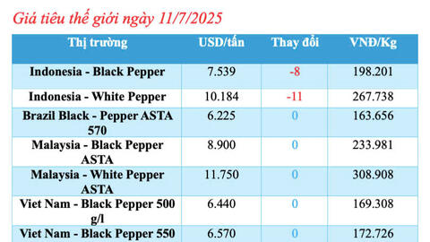 Giá tiêu hôm nay 11/7/2025: Trong nước giảm nhẹ