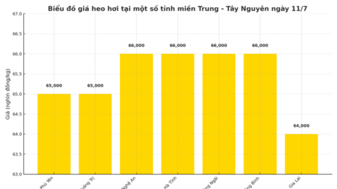 Giá heo hơi hôm nay 11/7/2025: Ổn định trên diện rộng