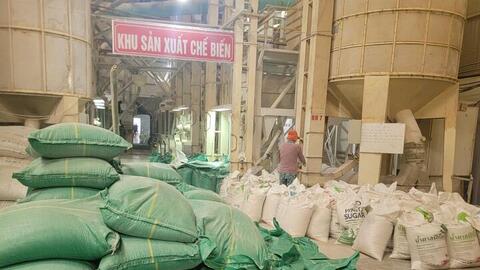 Cú huých cho sản xuất lúa gạo vùng Đồng bằng sông Cửu Long