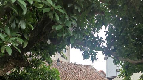 Nhà cổ làng Đường Lâm được khoác "áo giáp sắt" chống bão