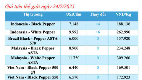 Giá tiêu hôm nay 24/7/2025: Trong nước bình ổn và giữ mức cao
