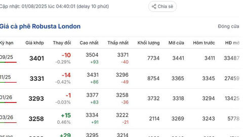 Giá cà phê hôm nay 1/8/2025: Trong nước duy trì xu hướng tăng