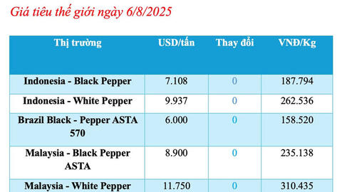 Giá tiêu hôm nay 6/8/2025: Thị trường nội địa tiếp tục ổn định và tăng nhẹ