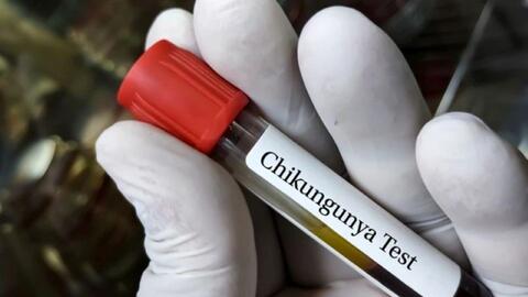 Tăng cường phòng, chống bệnh Chikungunya