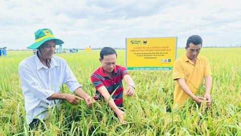 Bình Điền: Hành trình hơn nửa thế kỷ phụng sự nông dân và tầm nhìn xanh hóa - số hóa