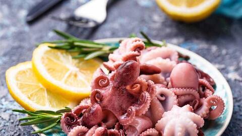 EU ra quy định mới về hàm lượng Asen trong cá, thủy sản nhập khẩu