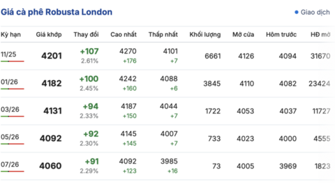 Giá cà phê hôm nay 29/9/2025: Trong nước đi ngang
