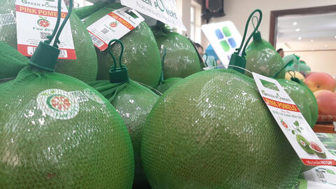 Bưởi Việt vào Australia, đòn bẩy nâng kim ngạch xuất khẩu rau quả