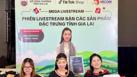 Chuyển đổi số thúc đẩy tiêu thụ, quảng bá sản phẩm vùng cao Gia Lai