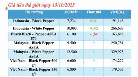 Giá tiêu hôm nay 15/10/2025: Trong nước giảm sâu