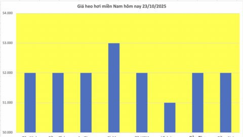 Giá heo hơi hôm nay 23/10/2025: Tăng nhẹ tại miền Trung và miền Nam