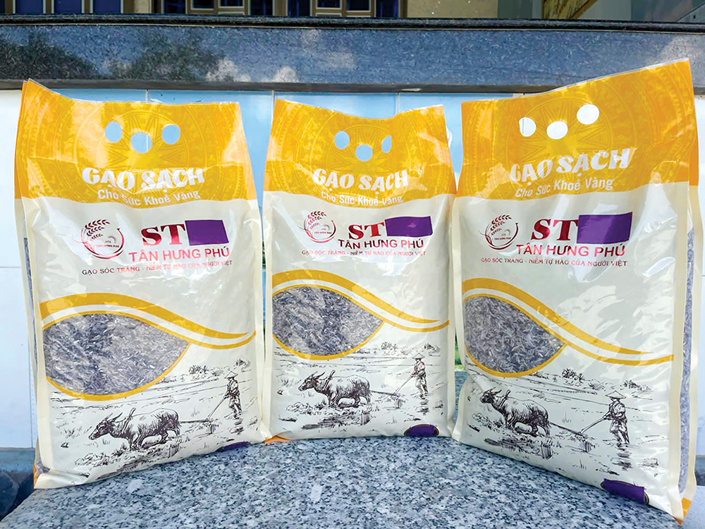 Hiệu quả liên kết trồng lúa tím xanh 